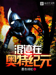 混迹在奥特纪元