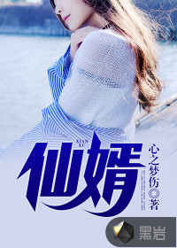仙婿